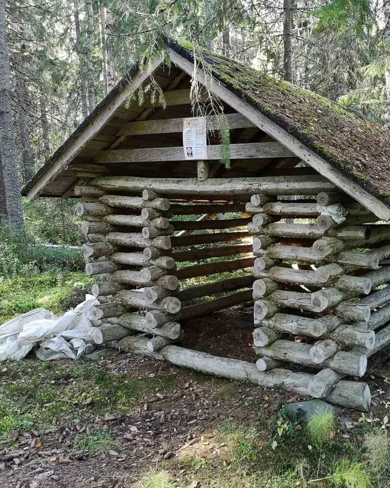 Hirsinen puuliiteri ennen kunnostusta, katolla sammalta