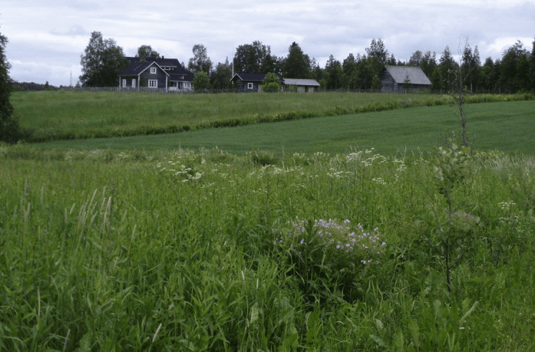 Karhunpään kylä