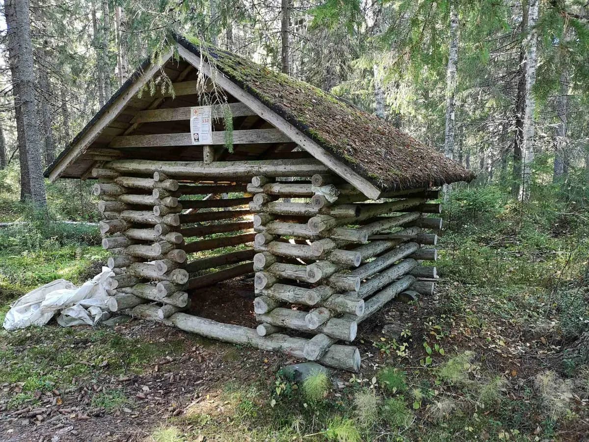 Puuliiteri Kalliojärven lintutornin alueella ennen kunnostusta