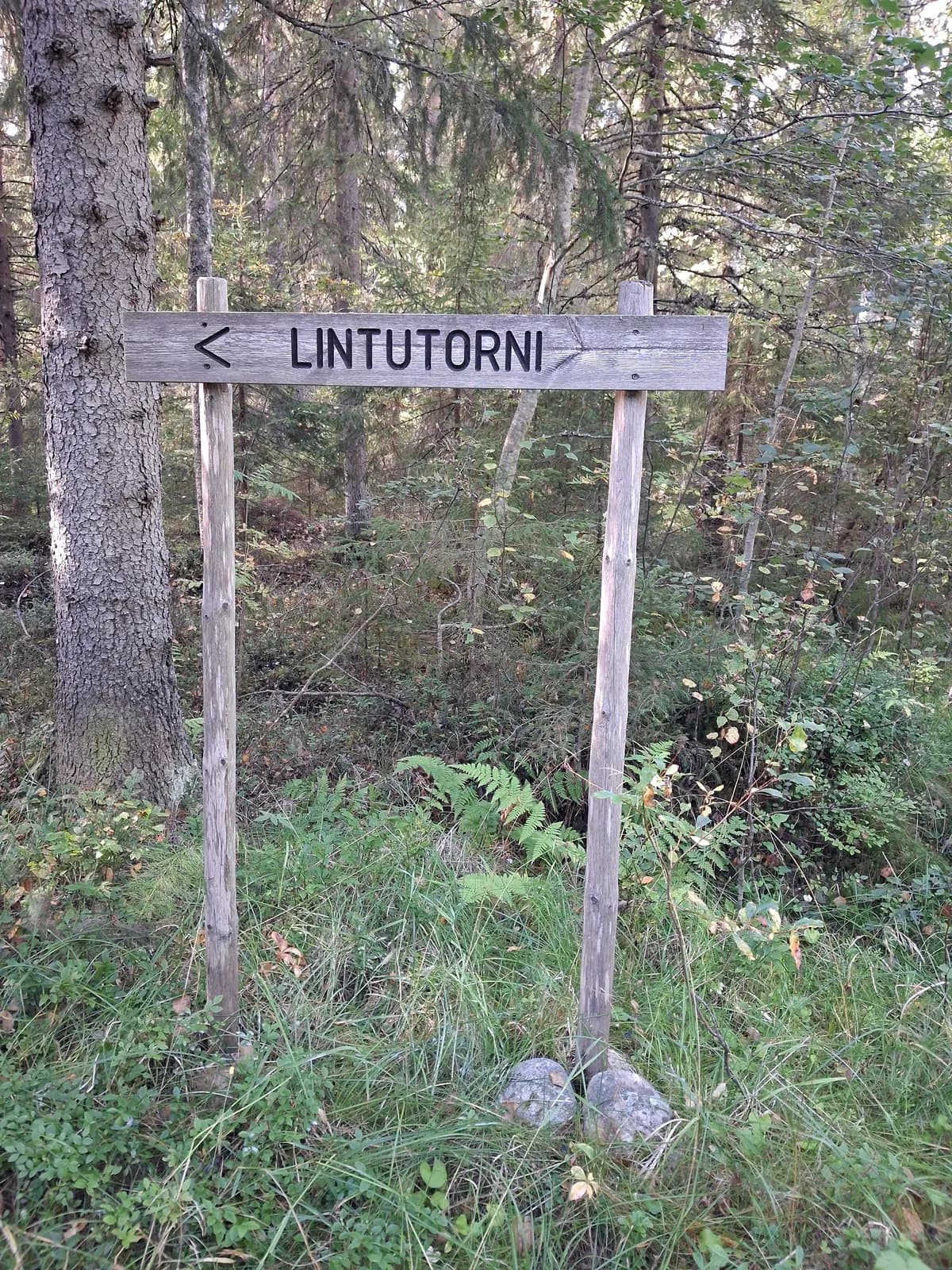 Kahden paalun varassa oleva puinen opaste, jossa lukee Lintutorni